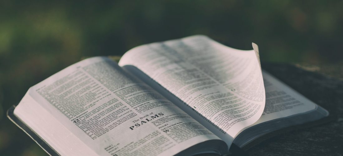 aaron burden 113284 unsplash scaled.jpg